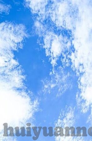 大象传媒下载导航-大象传媒下载导航，解锁数字娱乐新体验的钥匙