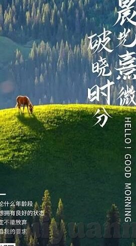国产麻豆91-赤色篇章，国产麻豆91在影像艺术领域的悄然崛起