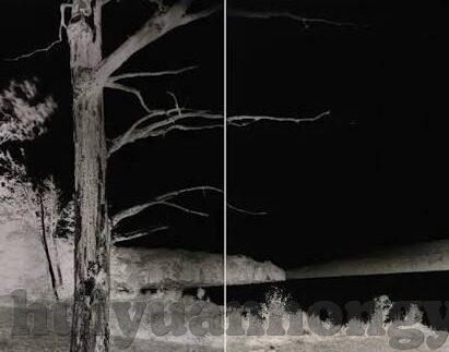 国产原创av麻豆tv-国风重塑！国产原创AV麻豆TV的现代文化视角