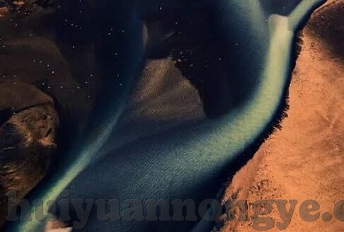 果冻传媒完整免费-探索果冻传媒的魅力，免费内容与创意的完美结合