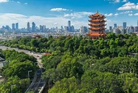 糖心app兑换码分享-关于糖心app兑换码的温馨分享与实用小贴士