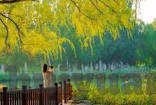 糖心vlog合集-糖心Vlog合集，记录生活，感受每一秒的温暖与美好