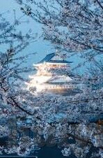 亚洲国产综合日韩av-探索亚洲影视文化的多元视角，日韩AV在亚洲的本土化发展