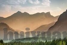 在线观看日韩av-探索日韩影视文化的多元视角，在线观看的现代趋势与文化交流